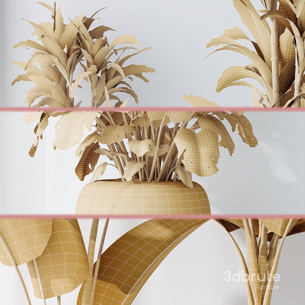 Indoor plant set 08 Image 3