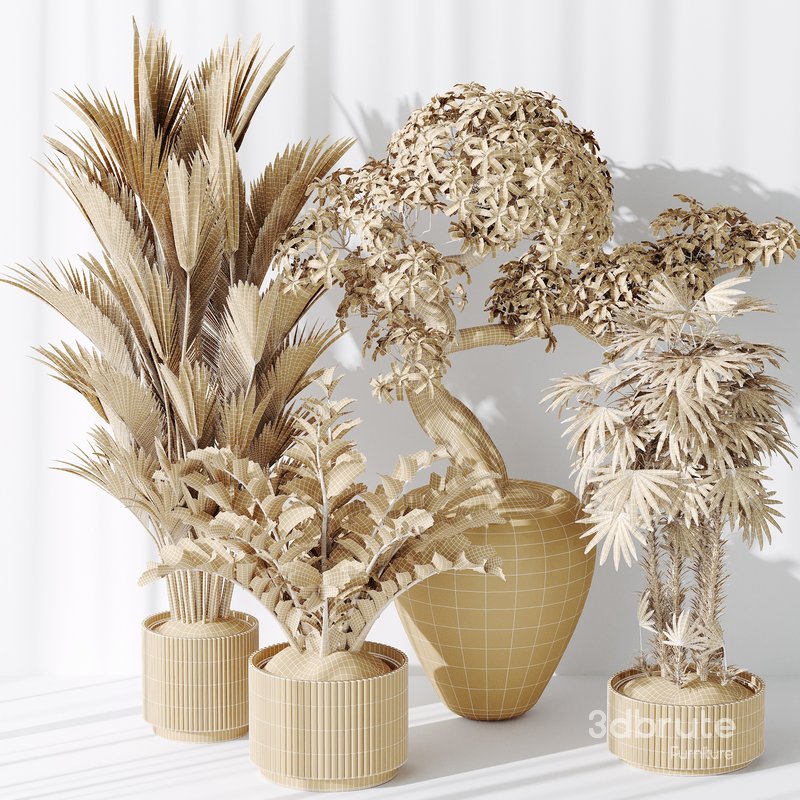 Indoor plant set 27 Image 5