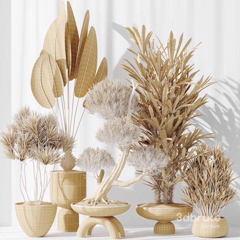 Indoor plant set 28 Image 3