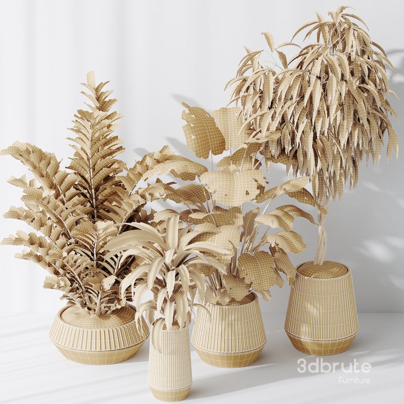 Indoor plant set 25 Image 4