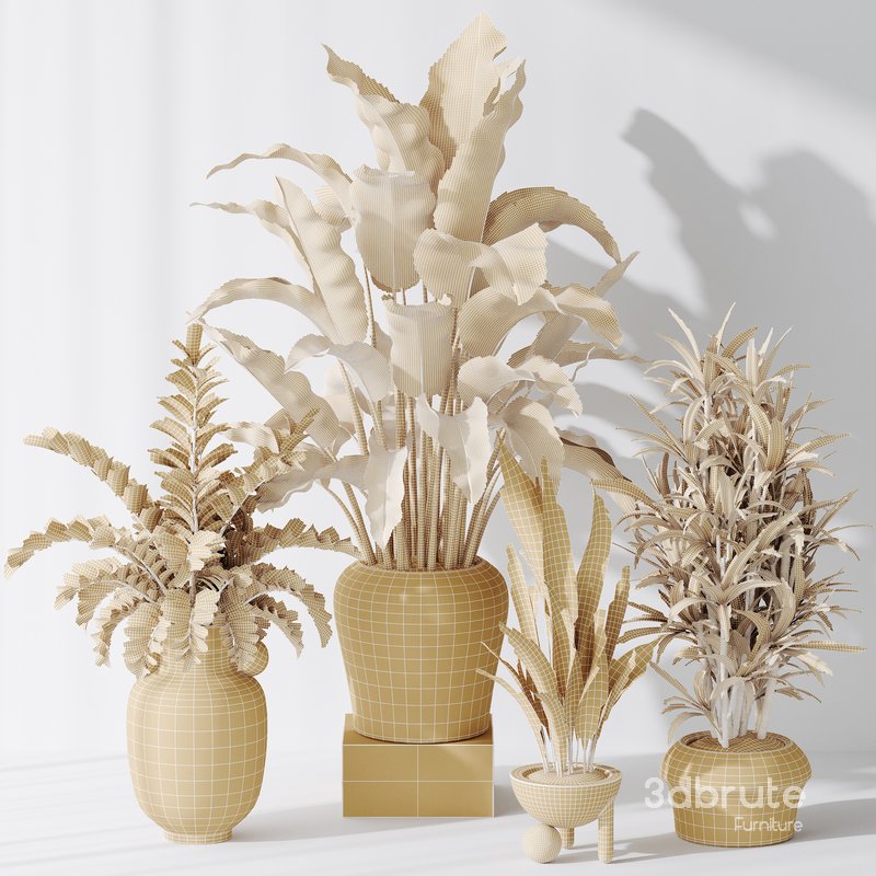 Indoor plant set 21 Image 5