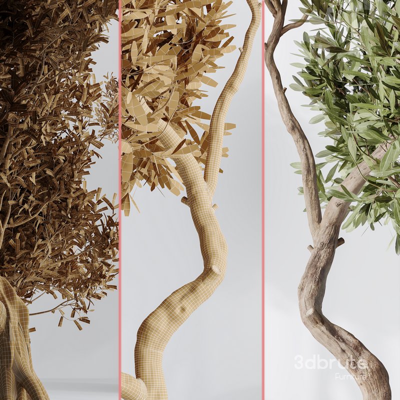 Indoor plant set 20 Image 4