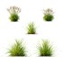 Grass 03 - Thumbnail 1