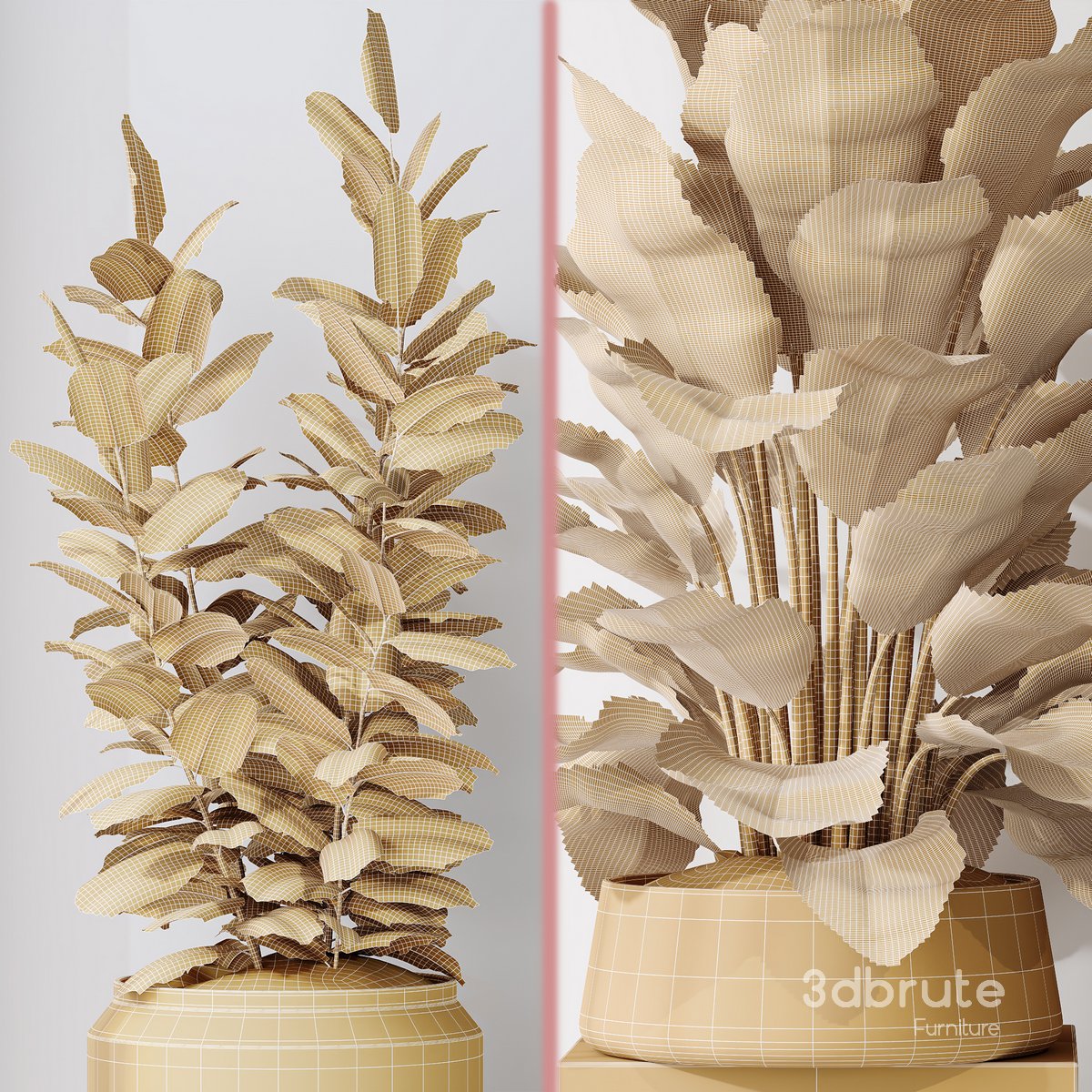 Indoor plant set 07 Image 4