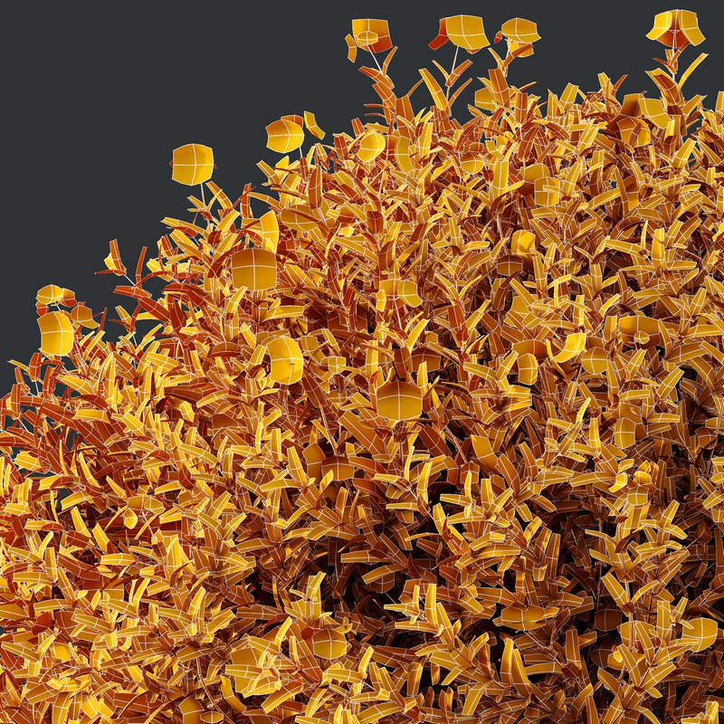 spring Flowering bush Image 6