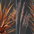 Grass 02 - Thumbnail 6