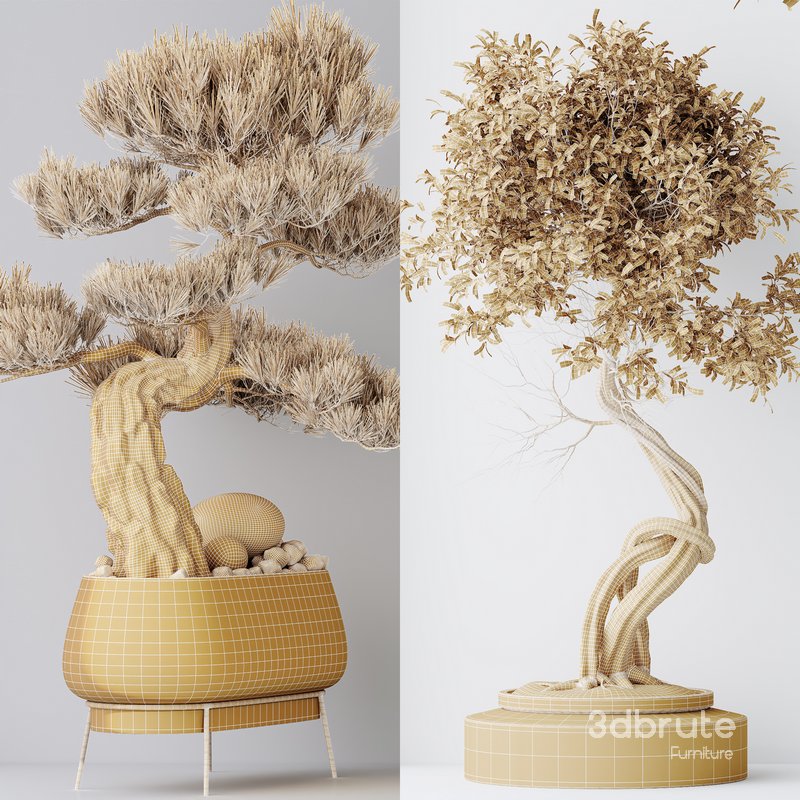 Indoor plant set 15 Image 7