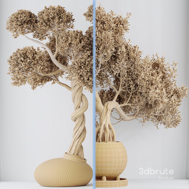 indoor plant set 13 Image 6