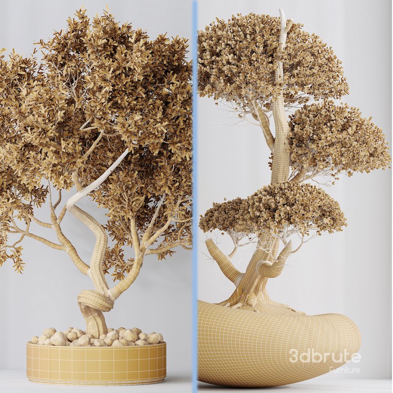 Indoor plant set 14 Image 5