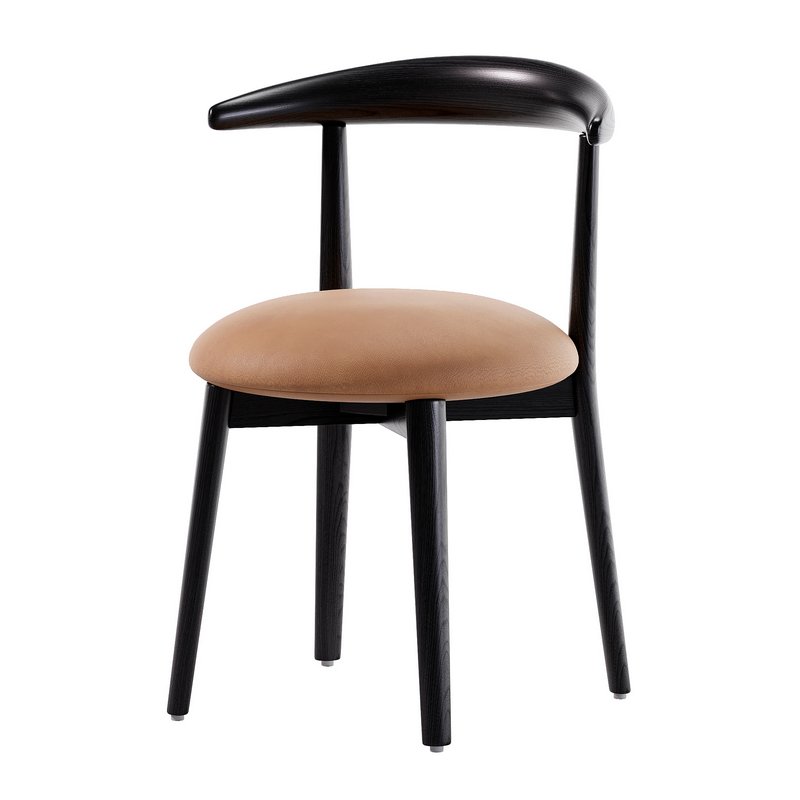 Wittmann CARINZIA Ash chair Image 4