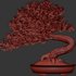 Bonsai Tree set6 - Thumbnail 4