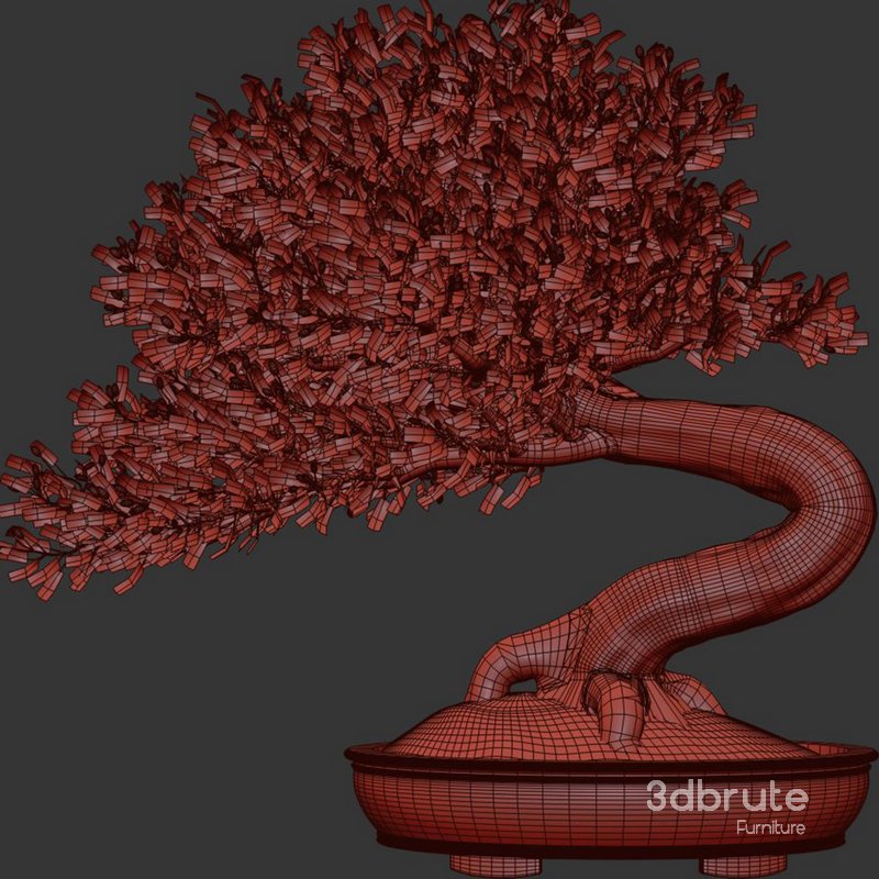 Bonsai Tree set6 Image 4