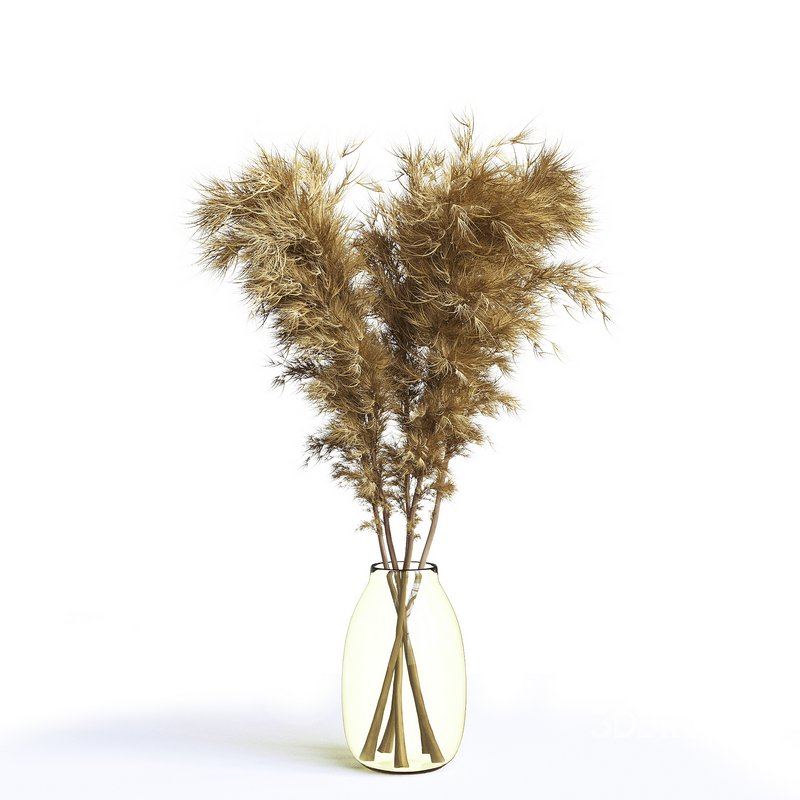 pompas bouquet Image 1