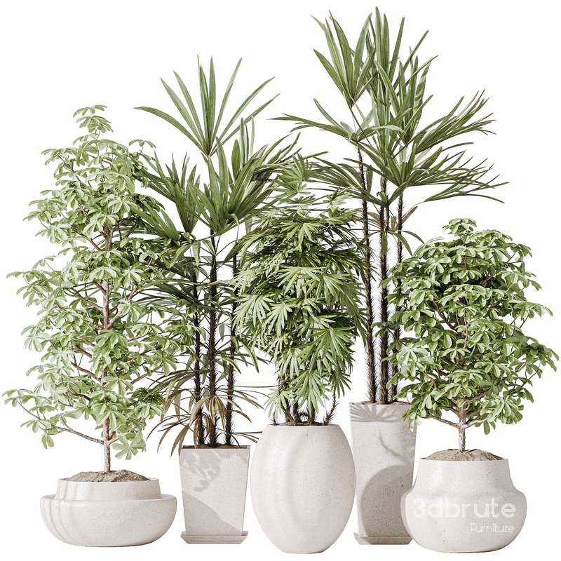 Indoor plant set 35 Image 1