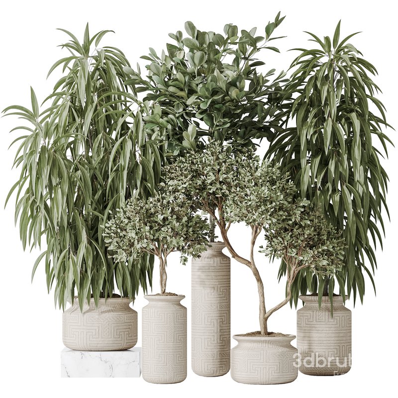 Indoor plant set 43 Image 1