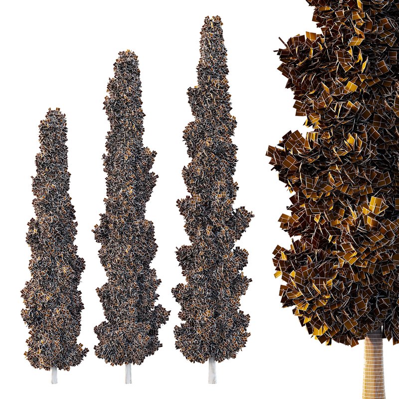 Italian Cypress Tree05 Image 2