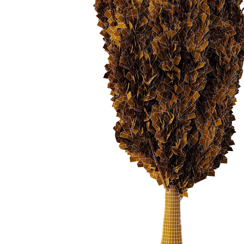 Italian Cypress Tree01 Image 3