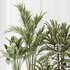 Indoor plant set 40 - Thumbnail 2