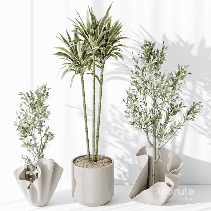 Indoor plant set 33 Image 4