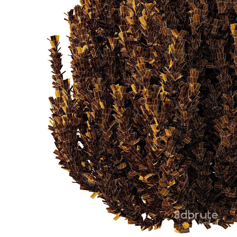 4 different bush types Image 3