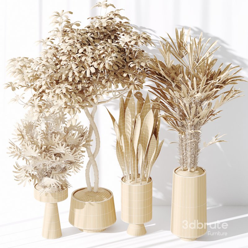 Indoor plant set 29 Image 3