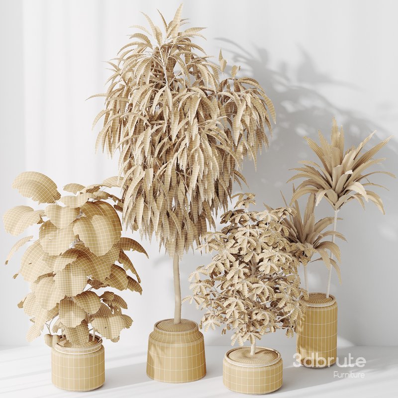 Indoor plant set 39 Image 3