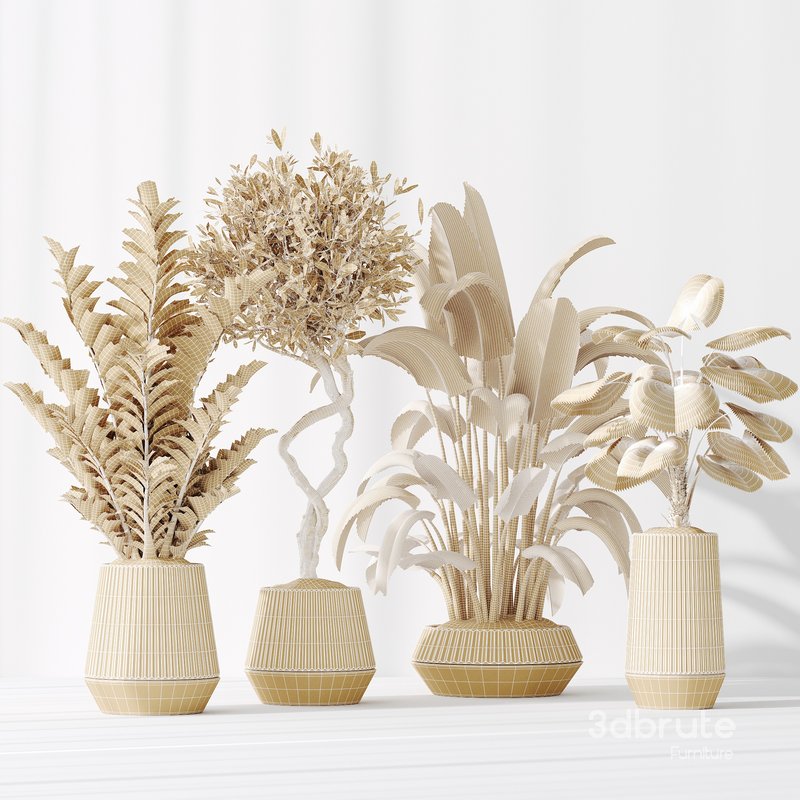 Indoor Plants Set 41 Image 3