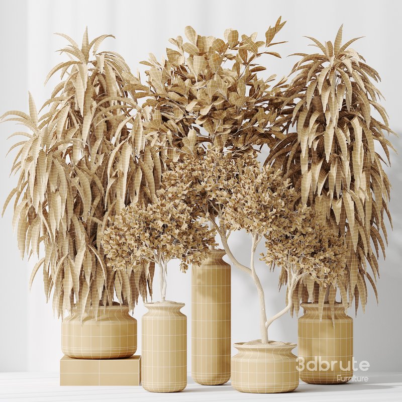 Indoor plant set 43 Image 3