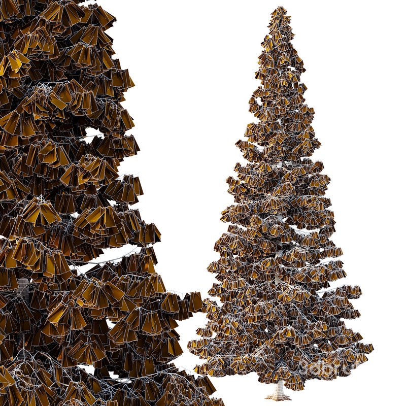 Spruce Tree07 Image 3