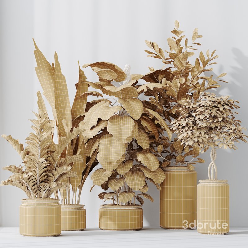 Indoor Plants Set 42 Image 2