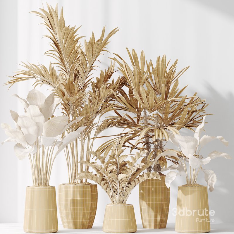 Indoor plant set 40 Image 4