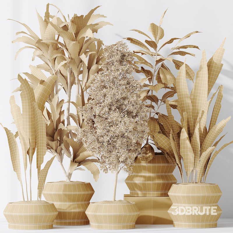 Indoor plant set 52 Image 3