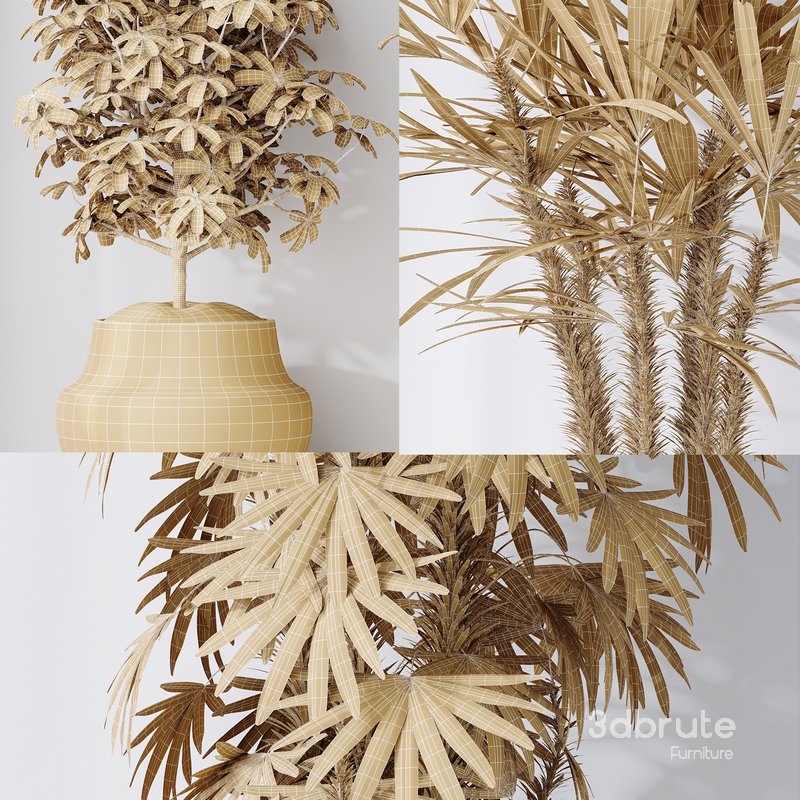 Indoor plant set 35 Image 4