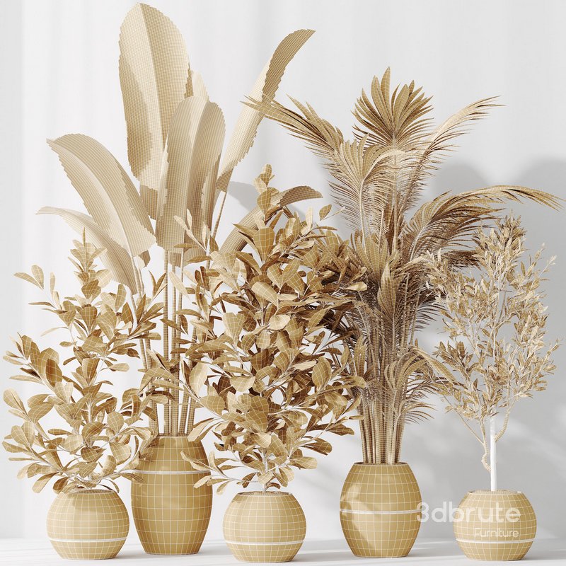 Indoor plant set 51 Image 5