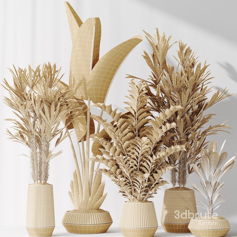 Indoor plant set 49 Image 5