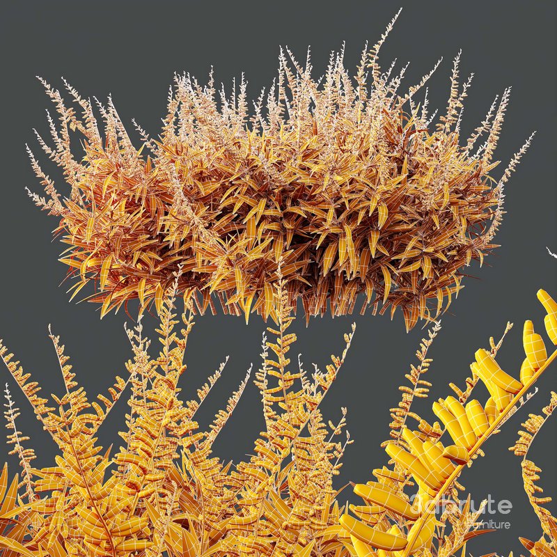 HQ Plants Salvia Leucantha Mexican Sage Santa Barbara Image 5