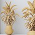 HousePlants Calathea Rufibarba Elbergrass Velvet Affordable - Thumbnail 3