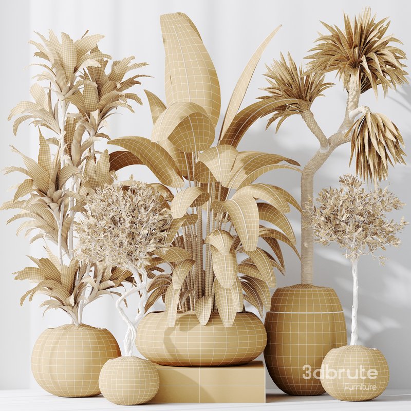 Indoor plant set 47 Image 5