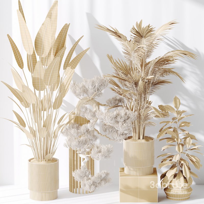 Indoor plant set 31 Image 5