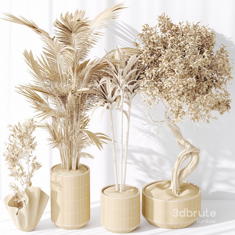 Indoor plant set 33 Image 3