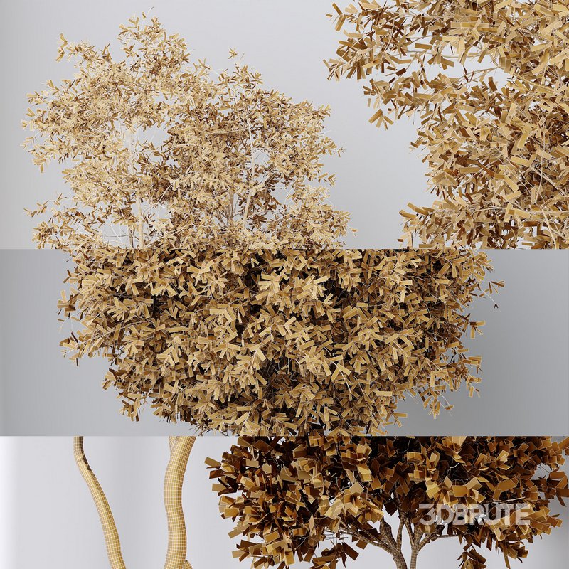 Indoor plant set 55 Image 6