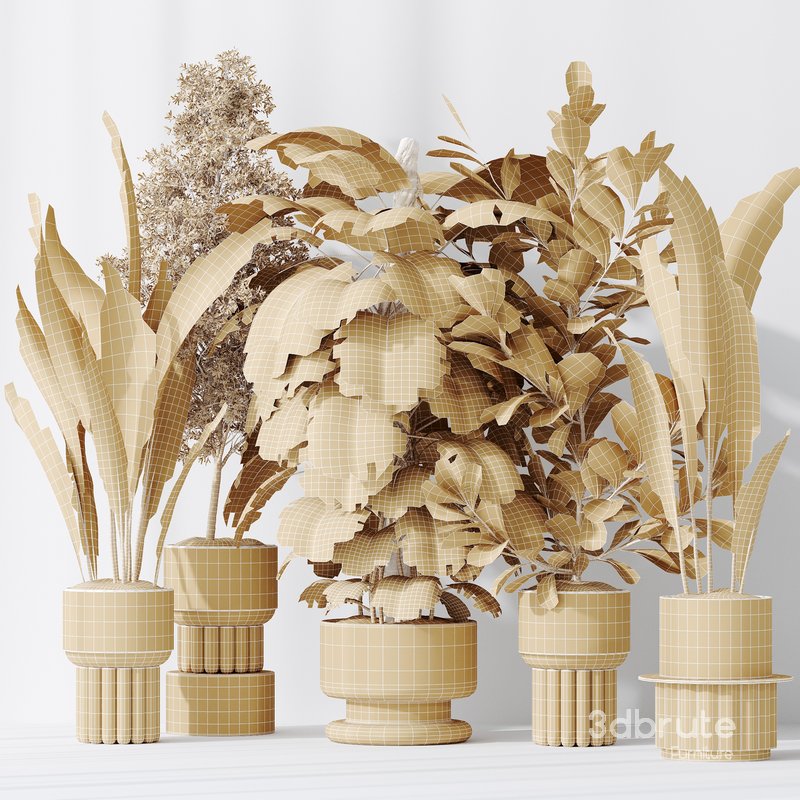 Indoor plant set 48 Image 5