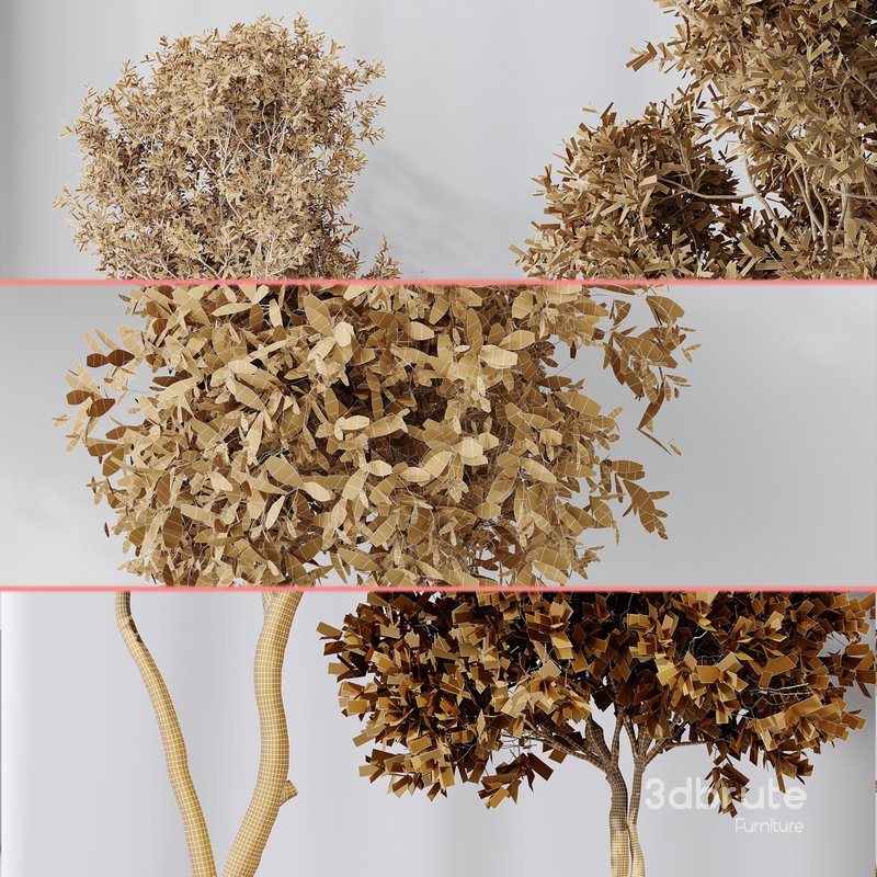 Indoor plant set 44 Image 4