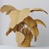 HousePlants Elegant Monstera Deliciosa Large Leaf Form Swiss Cheese Set03 - Thumbnail 6