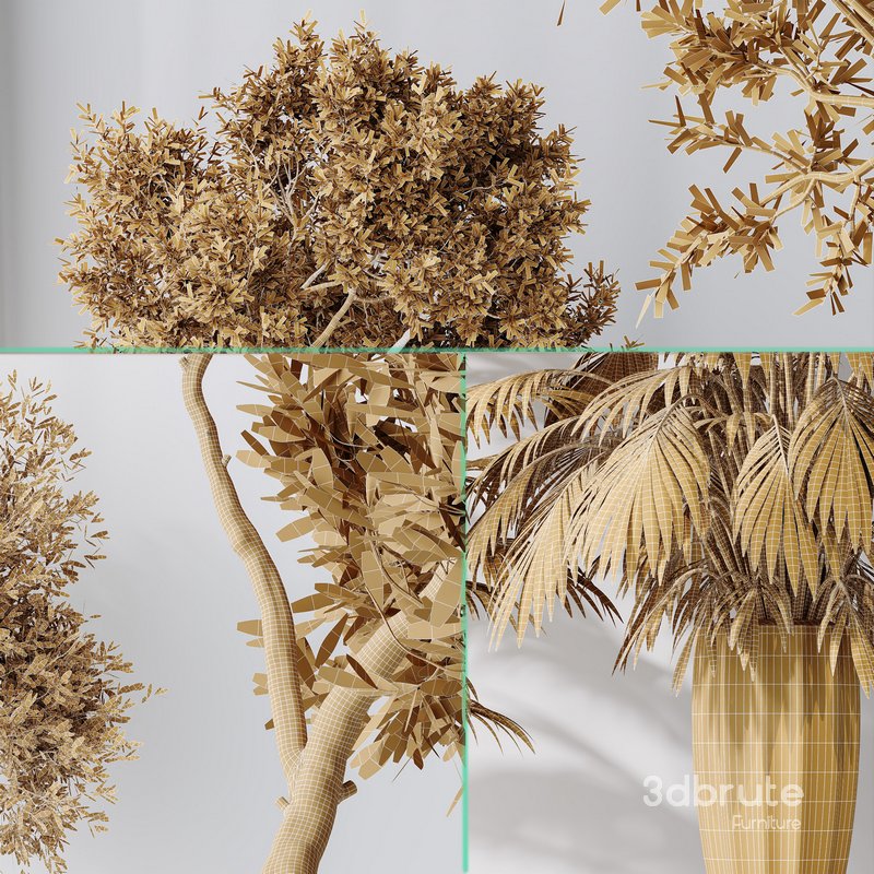 Indoor plant set 34 Image 5