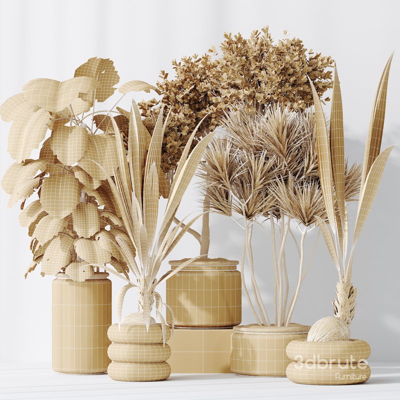 Indoor plant set 50 Image 6