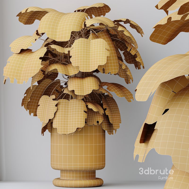 HousePlants Elegant Monstera Deliciosa Large Leaf Form Swiss Cheese Set02 Image 6