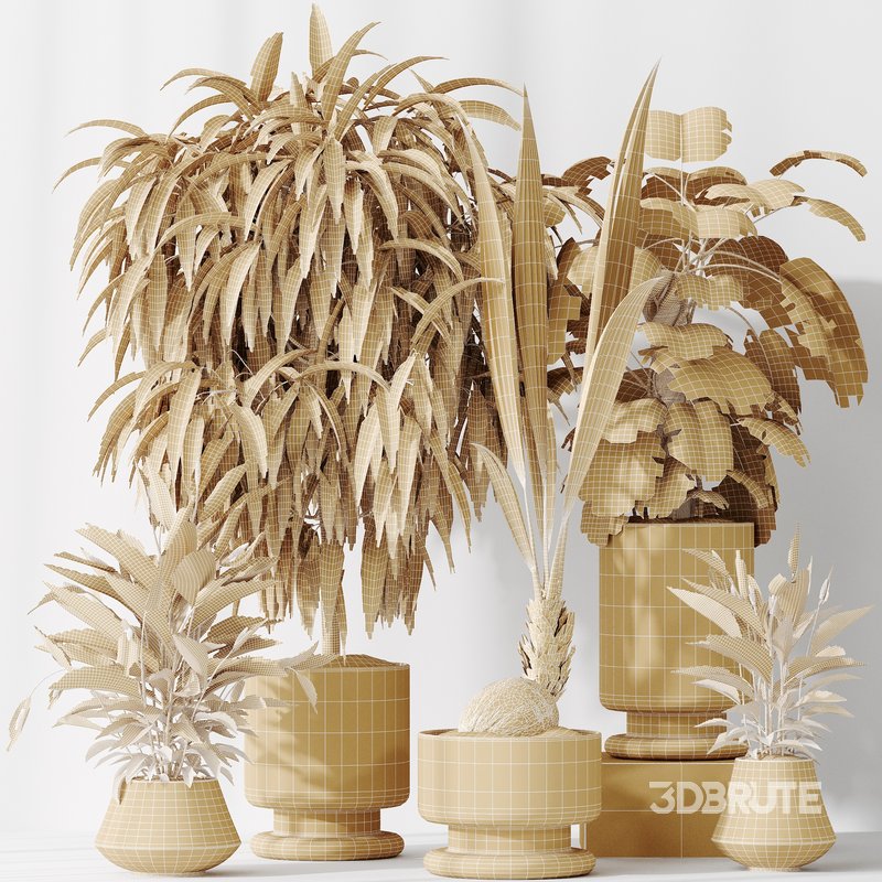 Indoor plant set 53 Image 5