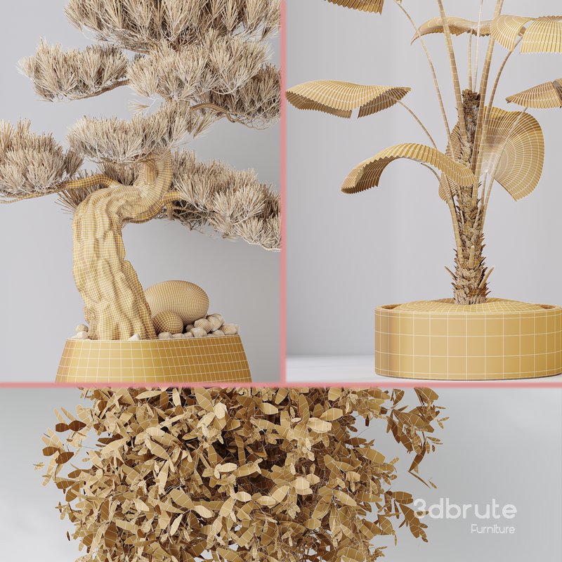 Indoor plant set 32 Image 7