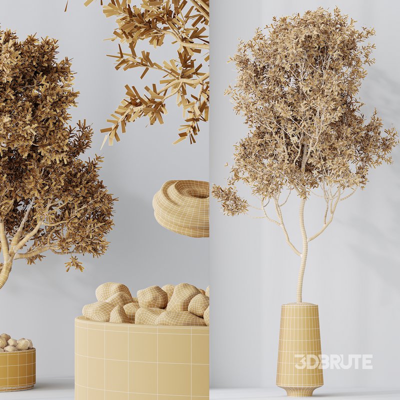 Indoor plant set 54 Image 6